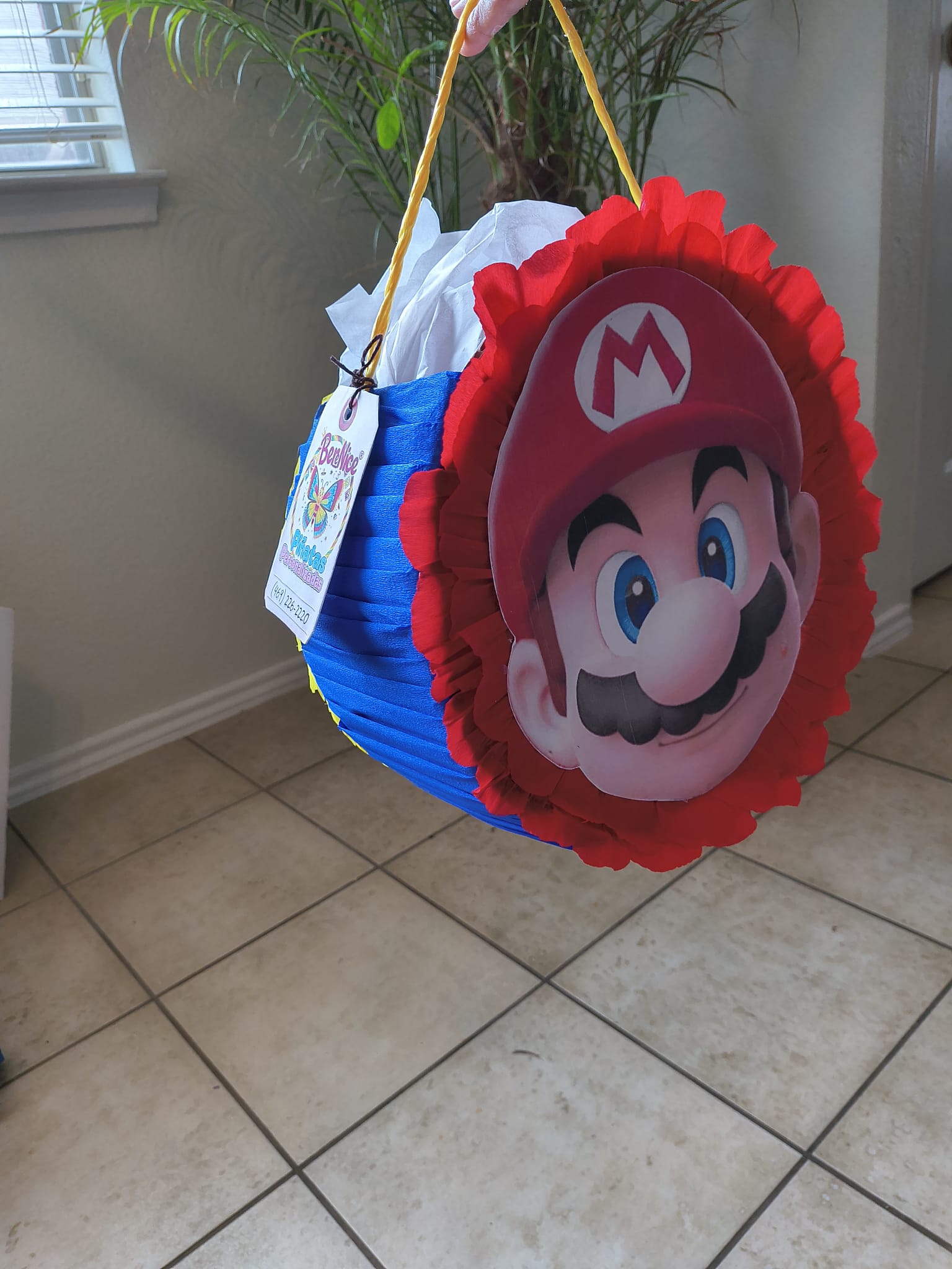 Mini Piñata / Favor Bag